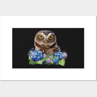 Owl Posters and Art